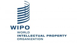 logo world intellectual property organization (WIPO)